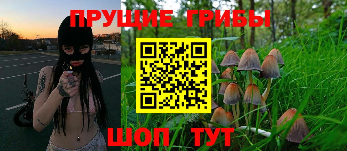Галлюциногенные грибы GOLDEN TEACHER  Вход с VPN  Галлюциногенные грибы ЛСД  Сочи 